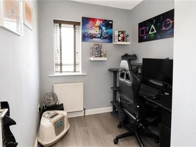 Picture 9